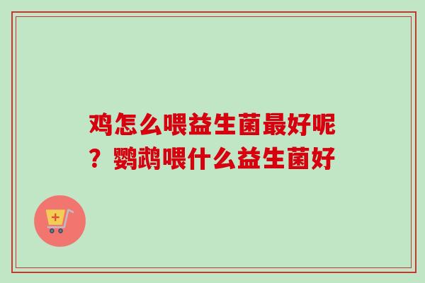鸡怎么喂益生菌好呢？鹦鹉喂什么益生菌好