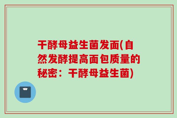 干酵母益生菌发面(自然发酵提高面包质量的秘密：干酵母益生菌)