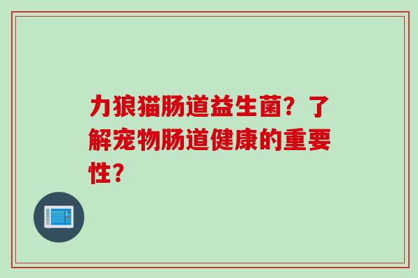 力狼猫肠道益生菌？了解宠物肠道健康的重要性？