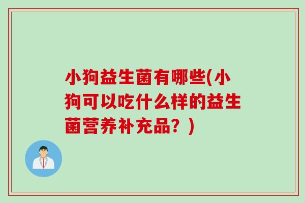 小狗益生菌有哪些(小狗可以吃什么样的益生菌营养补充品？)