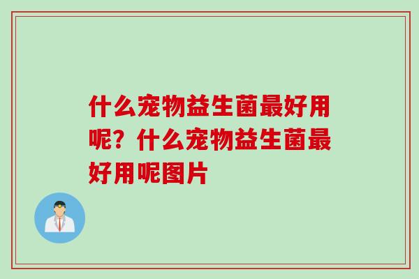 什么宠物益生菌好用呢?什么宠物益生菌好用呢图片 什么宠物益生菌好用呢?什么宠物益生菌好用呢图片
