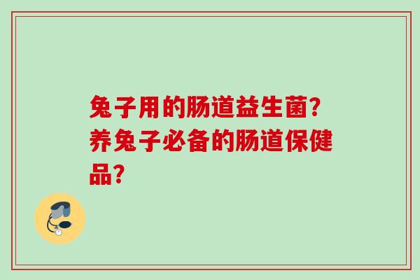 兔子用的肠道益生菌?养兔子必备的肠道保健品? 兔子用的肠道益生菌?养兔子必备的肠道保健品?