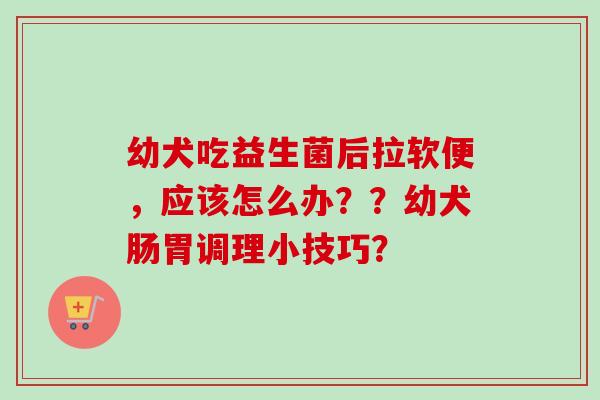 幼犬吃益生菌后拉软便,应该怎么办??幼犬肠胃调理小技巧? 幼犬吃益生菌后拉软便,应该怎么办??幼犬肠胃调理小技巧?