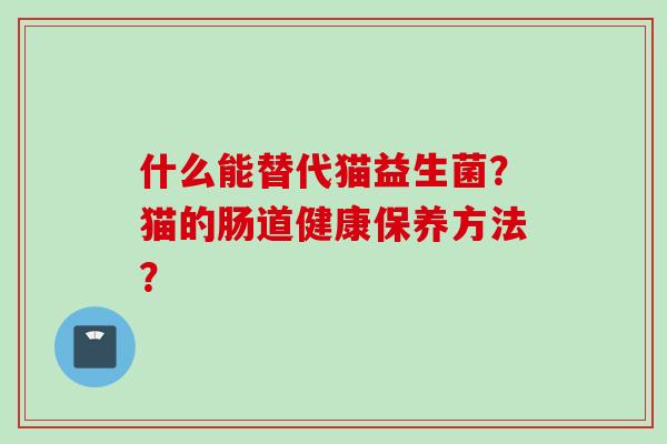 什么能替代猫益生菌?猫的肠道健康保养方法? 什么能替代猫益生菌?猫的肠道健康保养方法?