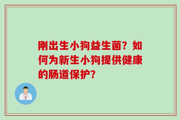 刚出生小狗益生菌?如何为新生小狗提供健康的肠道保护? 刚出生小狗益生菌?如何为新生小狗提供健康的肠道保护?