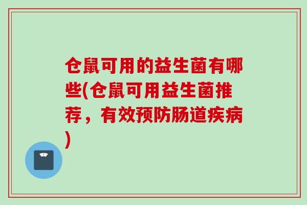仓鼠可用的益生菌有哪些(仓鼠可用益生菌推荐，有效肠道)