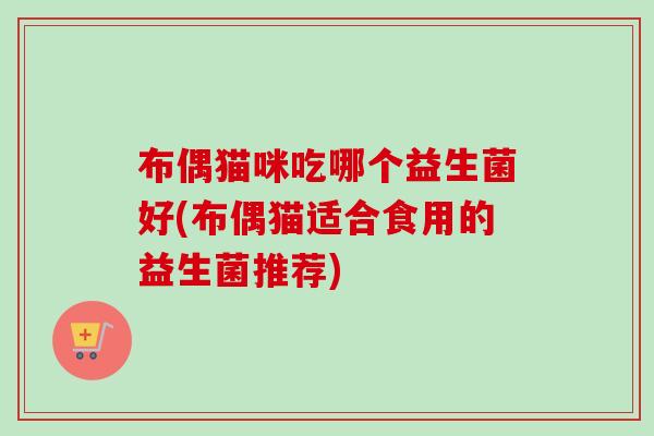 布偶猫咪吃哪个益生菌好(布偶猫适合食用的益生菌推荐)
