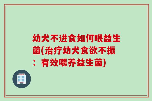 幼犬不进食如何喂益生菌(幼犬不振:有效喂养益生菌) 幼犬不进食如何喂益生菌(幼犬不振:有效喂养益生菌)