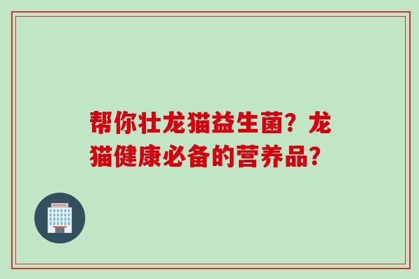 帮你壮龙猫益生菌?龙猫健康必备的营养品? 帮你壮龙猫益生菌?龙猫健康必备的营养品?