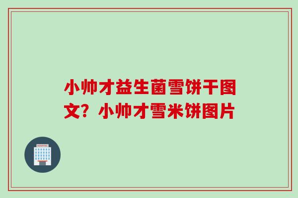 小帅才益生菌雪饼干图文？小帅才雪米饼图片