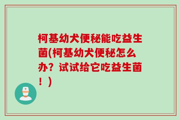 柯基幼犬能吃益生菌(柯基幼犬怎么办？试试给它吃益生菌！)
