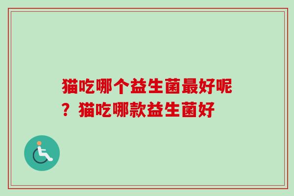 猫吃哪个益生菌好呢?猫吃哪款益生菌好 猫吃哪个益生菌好呢?猫吃哪款益生菌好