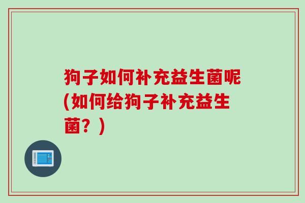 狗子如何补充益生菌呢(如何给狗子补充益生菌？)