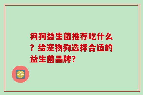 狗狗益生菌推荐吃什么？给宠物狗选择合适的益生菌品牌？