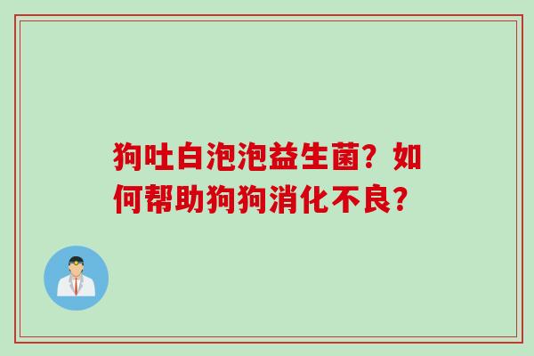 狗吐白泡泡益生菌？如何帮助狗狗？