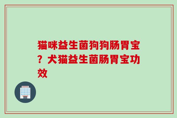猫咪益生菌狗狗肠胃宝?犬猫益生菌肠胃宝功效 猫咪益生菌狗狗肠胃宝?犬猫益生菌肠胃宝功效