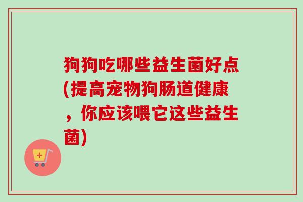 狗狗吃哪些益生菌好点(提高宠物狗肠道健康，你应该喂它这些益生菌)