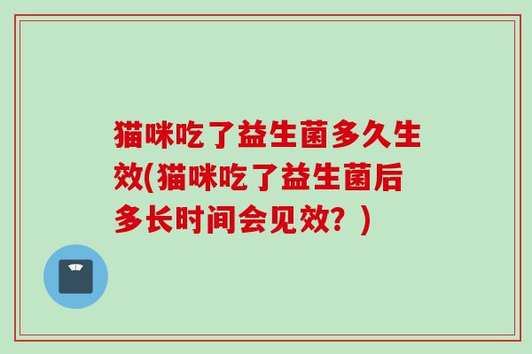 猫咪吃了益生菌多久生效(猫咪吃了益生菌后多长时间会见效?) 猫咪吃了益生菌多久生效(猫咪吃了益生菌后多长时间会见效?)