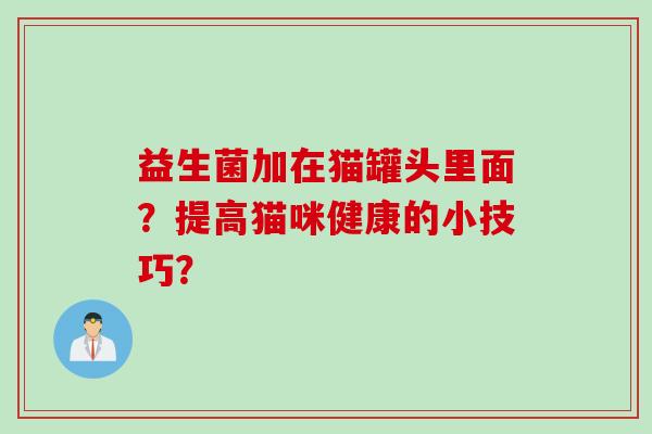 益生菌加在猫罐头里面？提高猫咪健康的小技巧？
