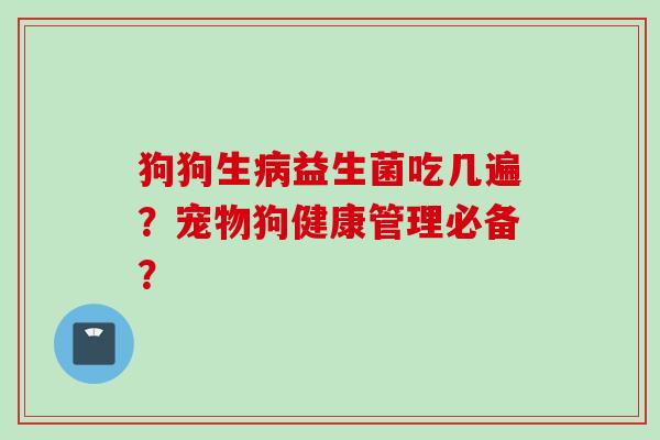 狗狗生病益生菌吃几遍？宠物狗健康管理必备？