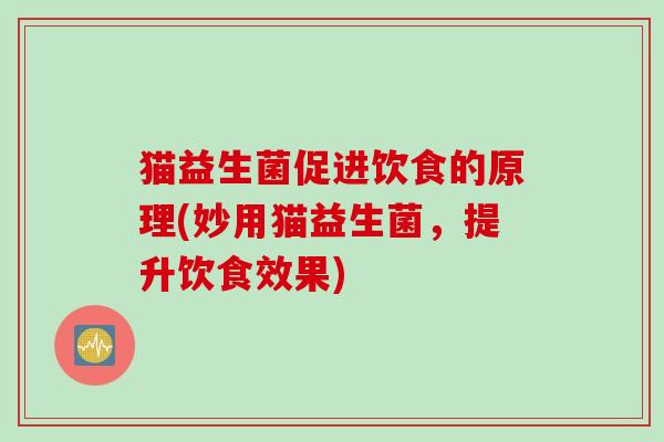 猫益生菌促进饮食的原理(妙用猫益生菌，提升饮食效果)