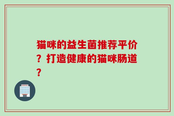 猫咪的益生菌推荐平价？打造健康的猫咪肠道？