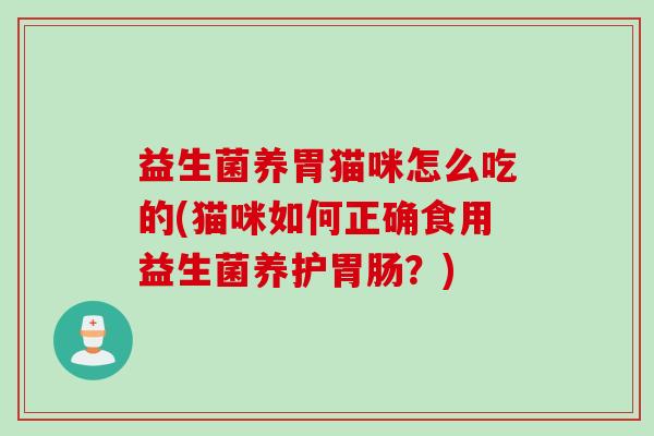 益生菌养胃猫咪怎么吃的(猫咪如何正确食用益生菌养护胃肠？)