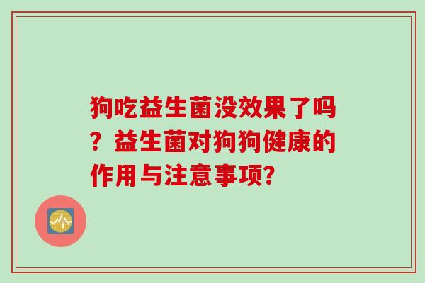 狗吃益生菌没效果了吗?益生菌对狗狗健康的作用与注意事项? 狗吃益生菌没效果了吗?益生菌对狗狗健康的作用与注意事项?