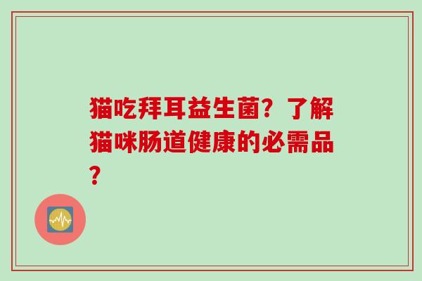 猫吃拜耳益生菌？了解猫咪肠道健康的必需品？