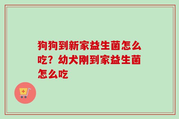 狗狗到新家益生菌怎么吃?幼犬刚到家益生菌怎么吃 狗狗到新家益生菌怎么吃?幼犬刚到家益生菌怎么吃