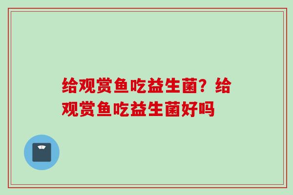 给观赏鱼吃益生菌?给观赏鱼吃益生菌好吗 给观赏鱼吃益生菌?给观赏鱼吃益生菌好吗