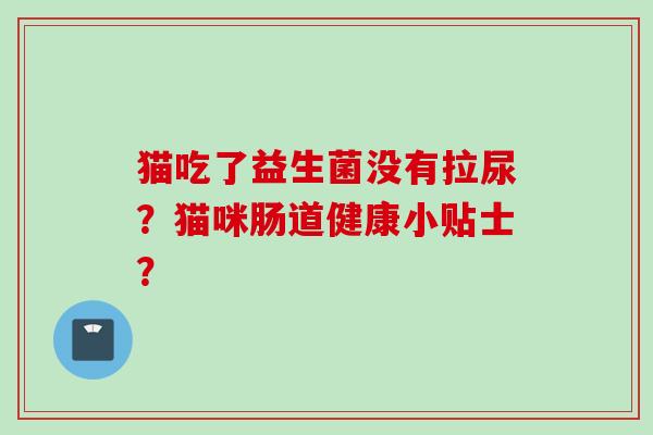 猫吃了益生菌没有拉尿？猫咪肠道健康小贴士？