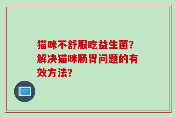猫咪不舒服吃益生菌?解决猫咪肠胃问题的有效方法? 猫咪不舒服吃益生菌?解决猫咪肠胃问题的有效方法?