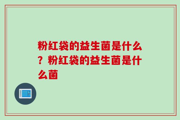 粉红袋的益生菌是什么?粉红袋的益生菌是什么菌 粉红袋的益生菌是什么?粉红袋的益生菌是什么菌