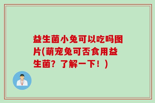 益生菌小兔可以吃吗图片(萌宠兔可否食用益生菌?了解一下!) 益生菌小兔可以吃吗图片(萌宠兔可否食用益生菌?了解一下!)