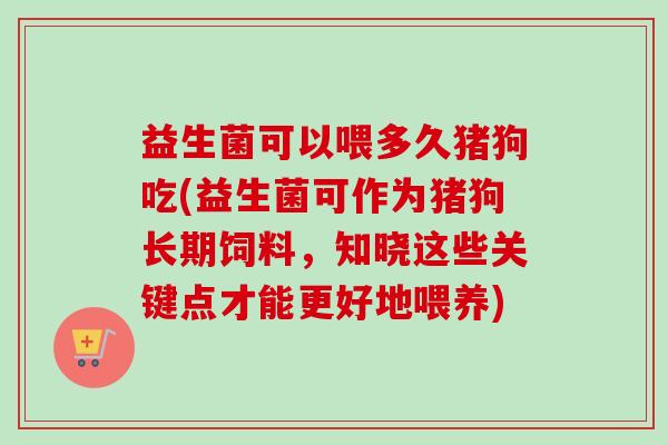 益生菌可以喂多久猪狗吃(益生菌可作为猪狗长期饲料，知晓这些关键点才能更好地喂养)