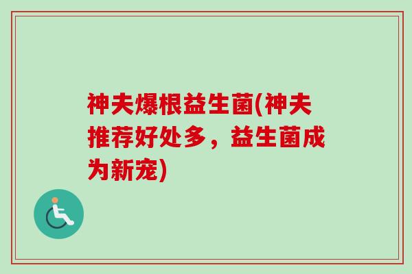 神夫爆根益生菌(神夫推荐好处多，益生菌成为新宠)