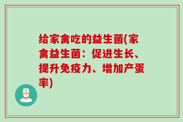 给家禽吃的益生菌(家禽益生菌:促进生长、提升力、增加产蛋率) 给家禽吃的益生菌(家禽益生菌:促进生长、提升力、增加产蛋率)