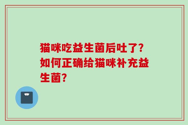猫咪吃益生菌后吐了？如何正确给猫咪补充益生菌？