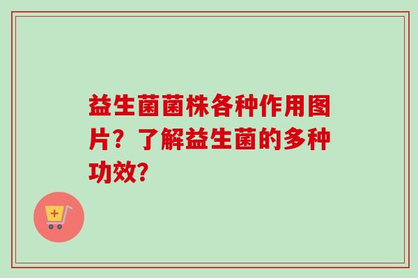 益生菌菌株各种作用图片?了解益生菌的多种功效? 益生菌菌株各种作用图片?了解益生菌的多种功效?