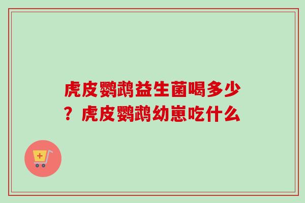 虎皮鹦鹉益生菌喝多少？虎皮鹦鹉幼崽吃什么