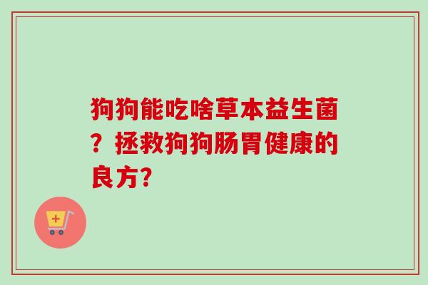 狗狗能吃啥草本益生菌？拯救狗狗肠胃健康的良方？
