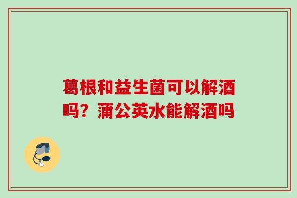 葛根和益生菌可以解酒吗？蒲公英水能解酒吗
