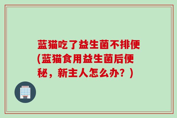 蓝猫吃了益生菌不排便(蓝猫食用益生菌后，新主人怎么办？)