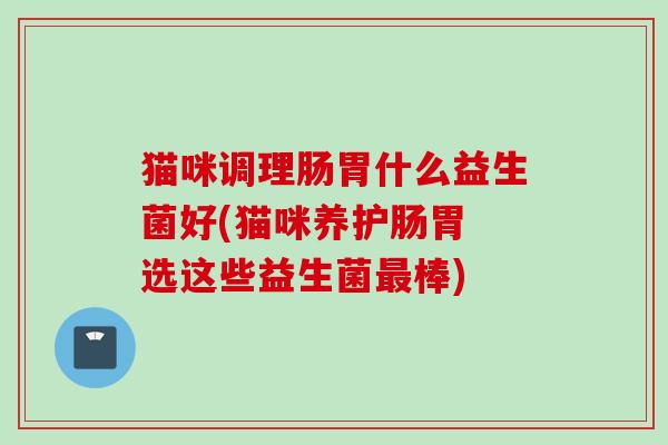 猫咪调理肠胃什么益生菌好(猫咪养护肠胃 选这些益生菌棒) 猫咪调理肠胃什么益生菌好(猫咪养护肠胃 选这些益生菌棒)