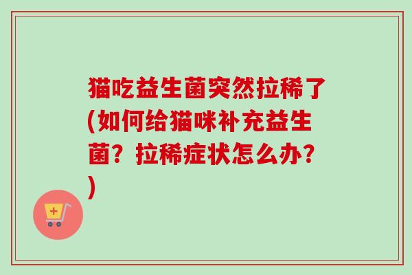 猫吃益生菌突然拉稀了(如何给猫咪补充益生菌？拉稀症状怎么办？)