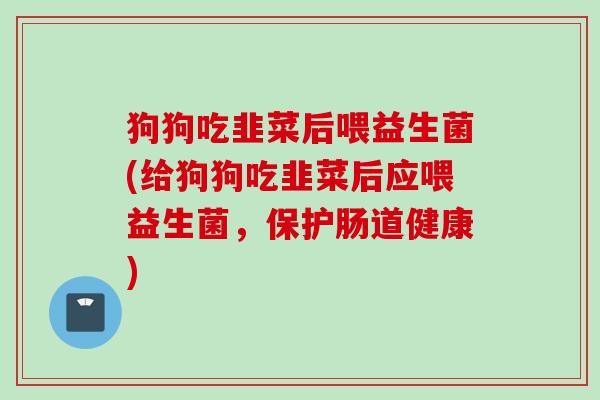 狗狗吃韭菜后喂益生菌(给狗狗吃韭菜后应喂益生菌,保护肠道健康) 狗狗吃韭菜后喂益生菌(给狗狗吃韭菜后应喂益生菌,保护肠道健康)