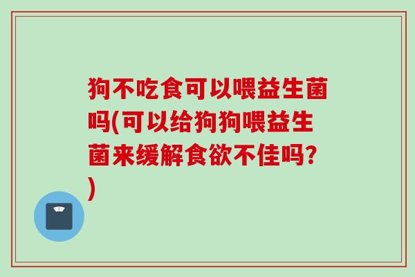 狗不吃食可以喂益生菌吗(可以给狗狗喂益生菌来缓解食欲不佳吗？)