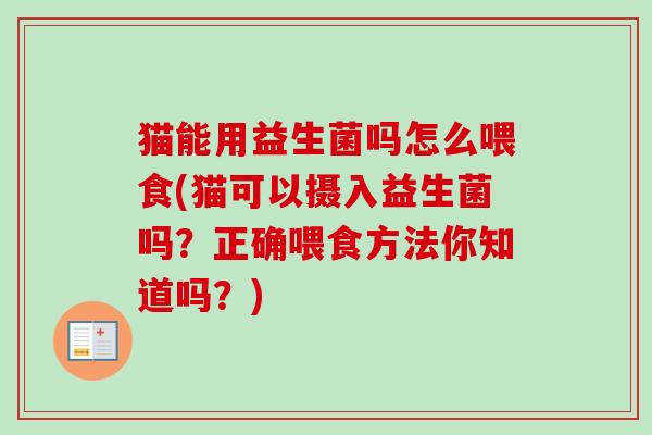 猫能用益生菌吗怎么喂食(猫可以摄入益生菌吗？正确喂食方法你知道吗？)