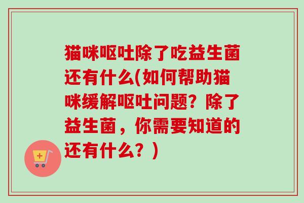 猫咪呕吐除了吃益生菌还有什么(如何帮助猫咪缓解呕吐问题？除了益生菌，你需要知道的还有什么？)
